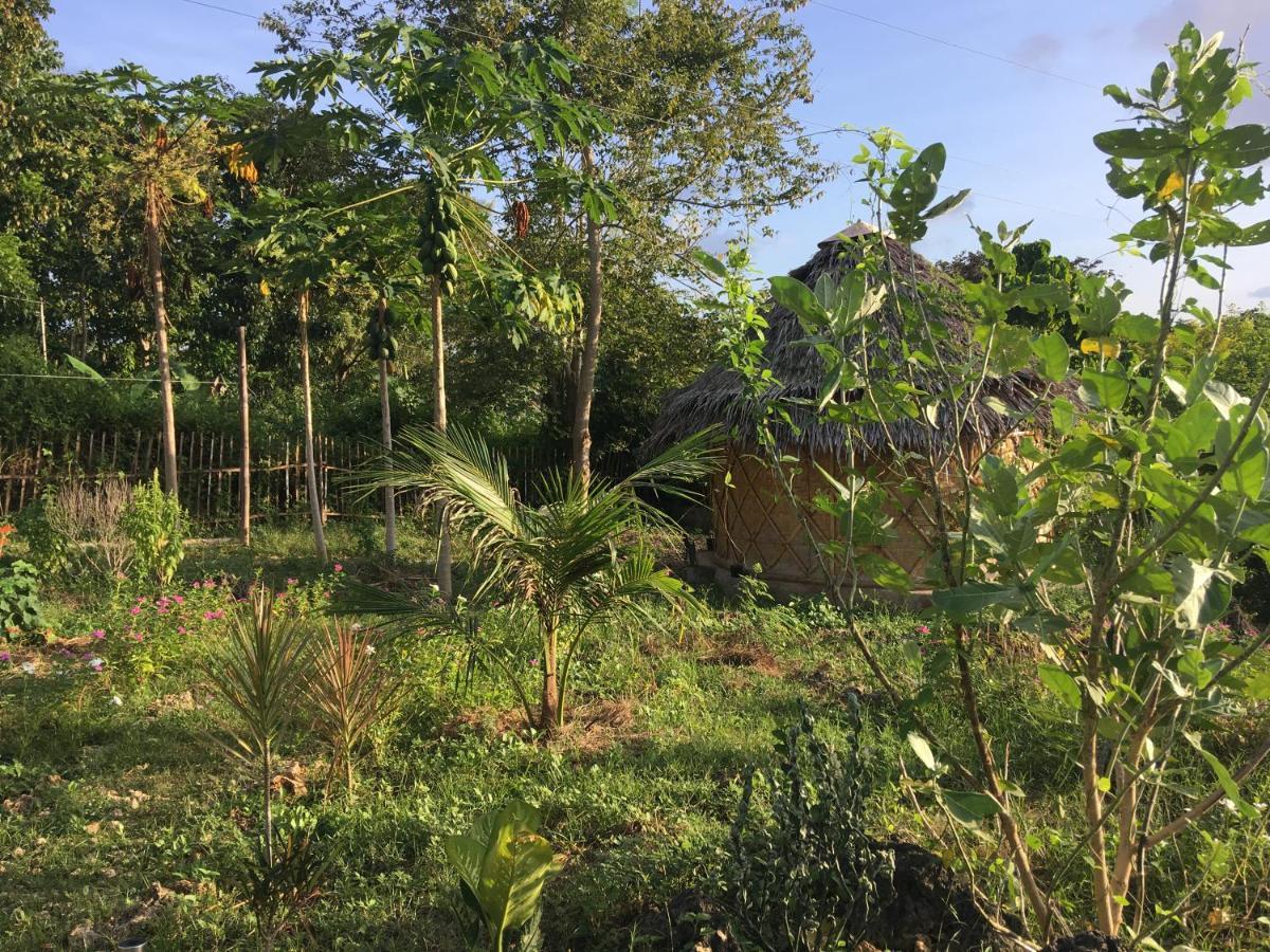 Little Nomads Eco-Guesthouse Siquijor Exterior photo